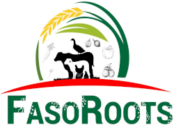 Logo FasoRoots